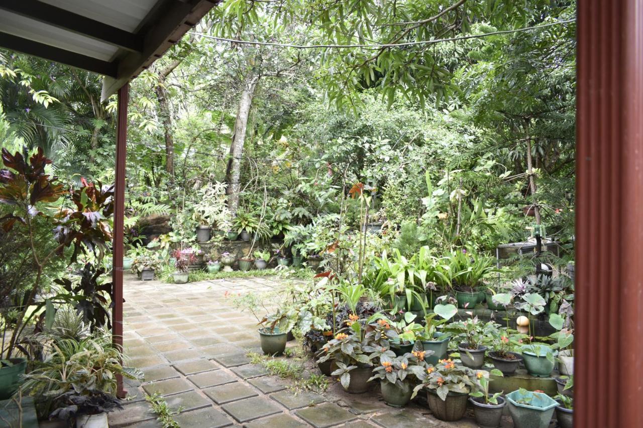 Sigiri Rock Side Home Stay Sigiriya Exterior foto