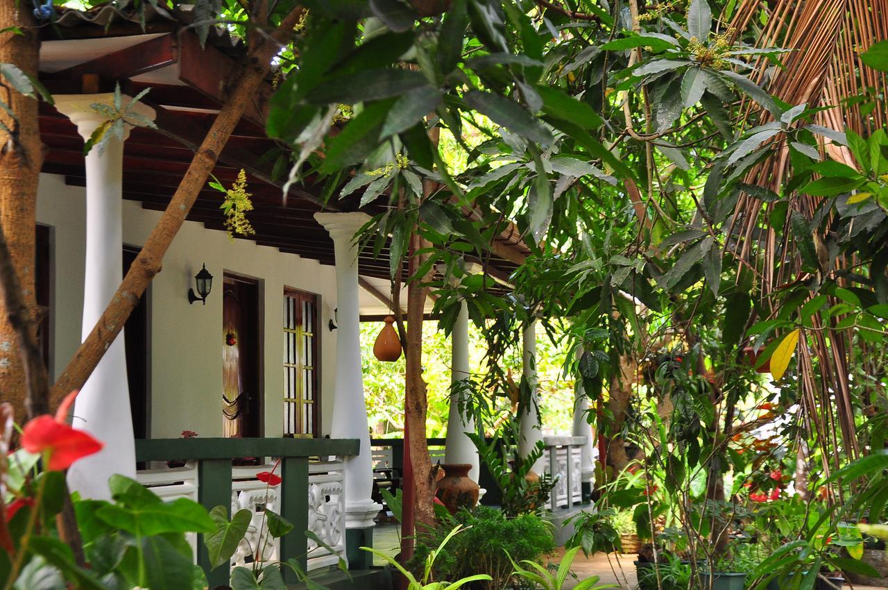 Sigiri Rock Side Home Stay Sigiriya Exterior foto
