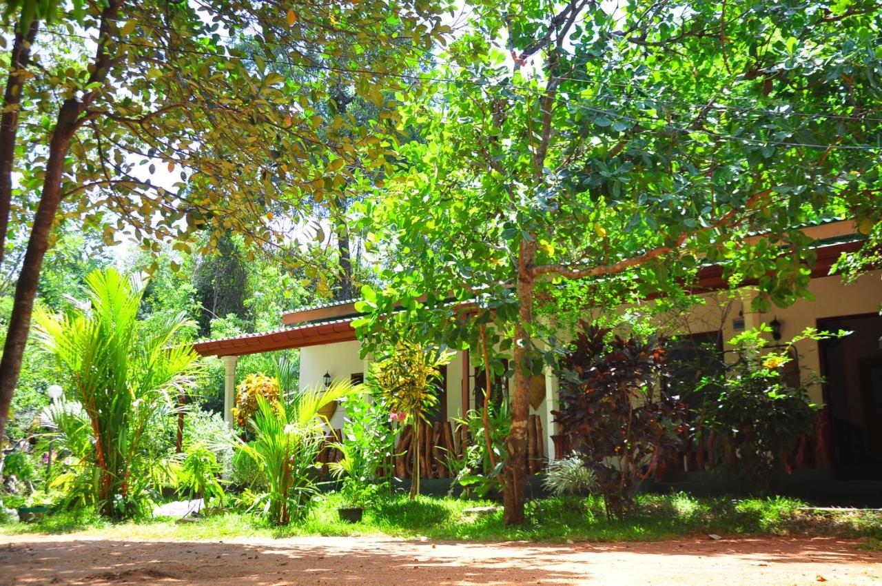 Sigiri Rock Side Home Stay Sigiriya Exterior foto